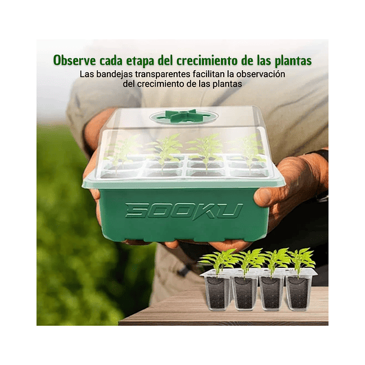 Bandeja Germinación Plantas Más Cúpula x12 Celdas c/u x10 Juegos 4