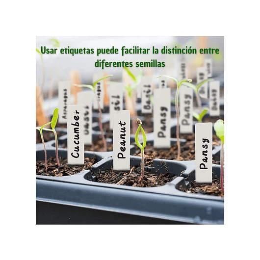 Bandeja Germinación Plantas Más Cúpula x12 Celdas c/u x10 Juegos 5