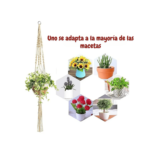 Juego De Colgadores De Plantas - Macetas x5 Unidades En 100% Yute 6