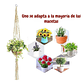 Juego De Colgadores De Plantas - Macetas x5 Unidades En 100% Yute - Miniatura 6