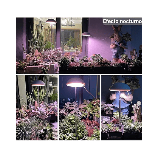 Luz Led Cultivo Crecimiento Plantas Interior 20w 5 Niveles Luz: Blanco Voltaje:110V 3