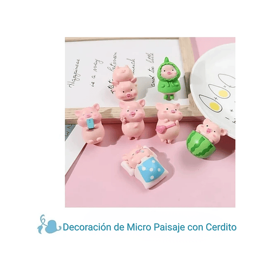Mini Kit Jardín Decorativo Bonsái Terrario Chonchitos x7 Piezas 2