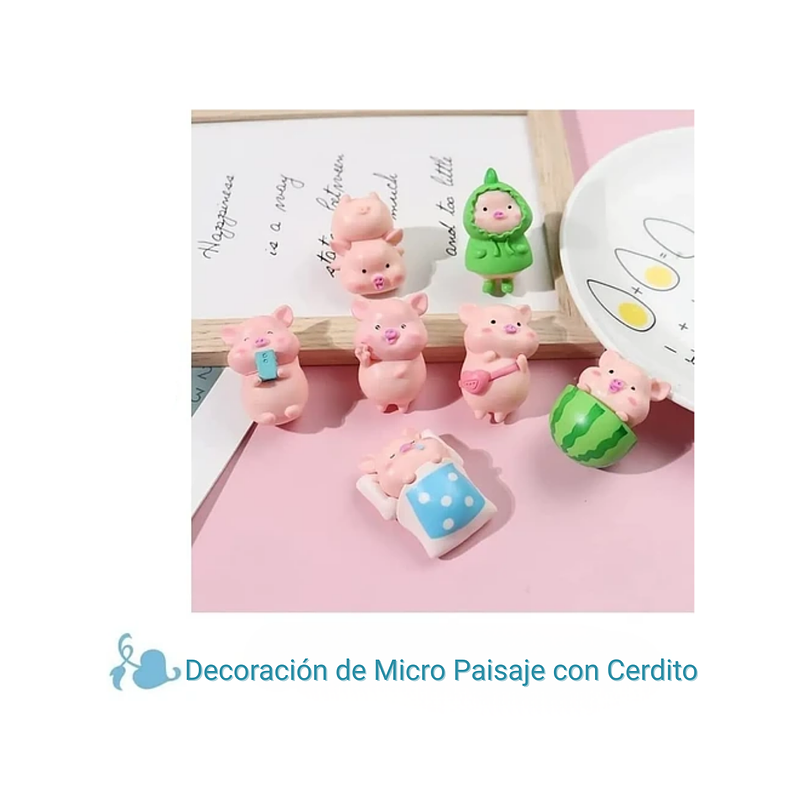 Mini Kit Jardín Decorativo Bonsái Terrario Chonchitos x7 Piezas 2