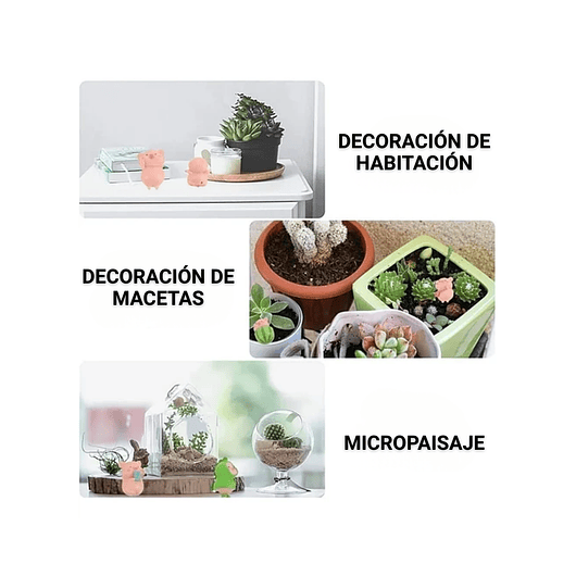 Mini Kit Jardín Decorativo Bonsái Terrario Chonchitos x7 Piezas 3
