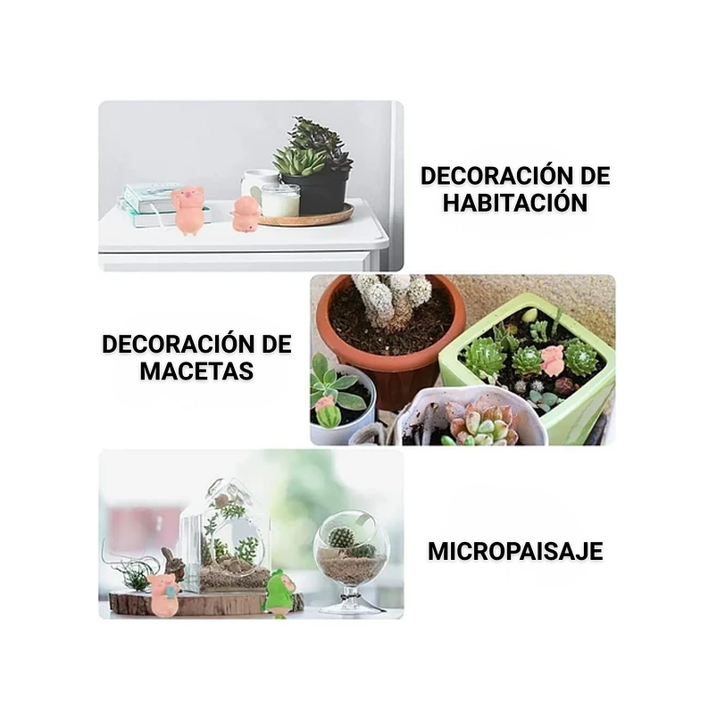 Mini Kit Jardín Decorativo Bonsái Terrario Chonchitos x7 Piezas 3