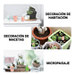 Mini Kit Jardín Decorativo Bonsái Terrario Chonchitos x7 Piezas - Miniatura 3