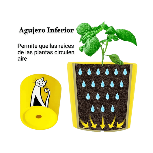 Juego Macetas Cerámica x6 Unidades Gatos En Colores Redonda 4