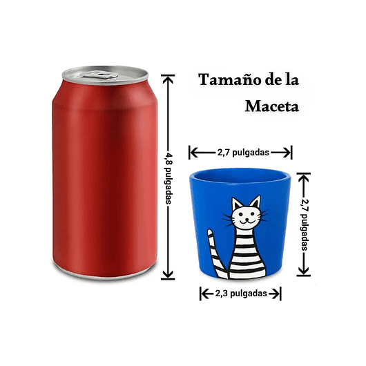 Juego Macetas Cerámica x6 Unidades Gatos En Colores Redonda 3