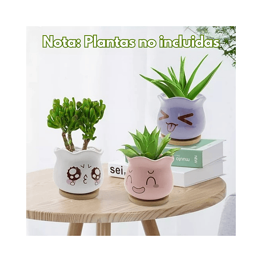 Juego Macetas en Cerámica Premium x6 para Cactus y Suculentas 6
