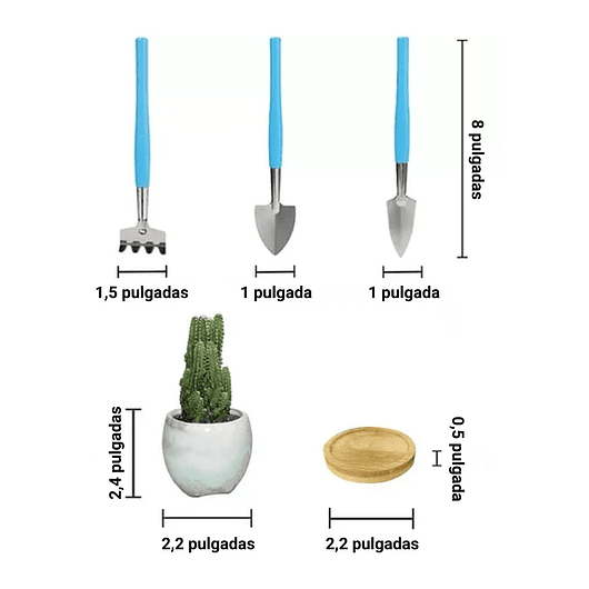 Juego Macetas Cerámica Premium Cactus Suculenta x12 Unidades 5