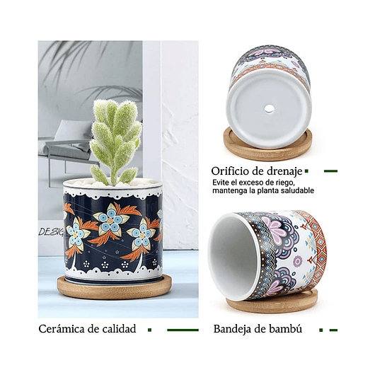 Juego Macetas Cerámica Premium Cactus y Suculentas x4 Unidades 5