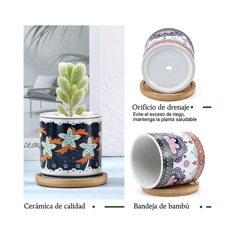 Juego Macetas Cerámica Premium Cactus y Suculentas x4 Unidades 5