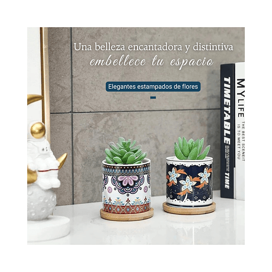 Juego Macetas Cerámica Premium Cactus y Suculentas x4 Unidades 6