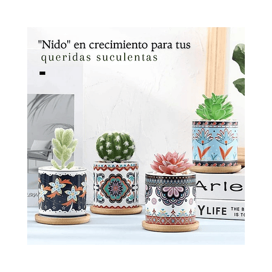 Juego Macetas Cerámica Premium Cactus y Suculentas x4 Unidades 7