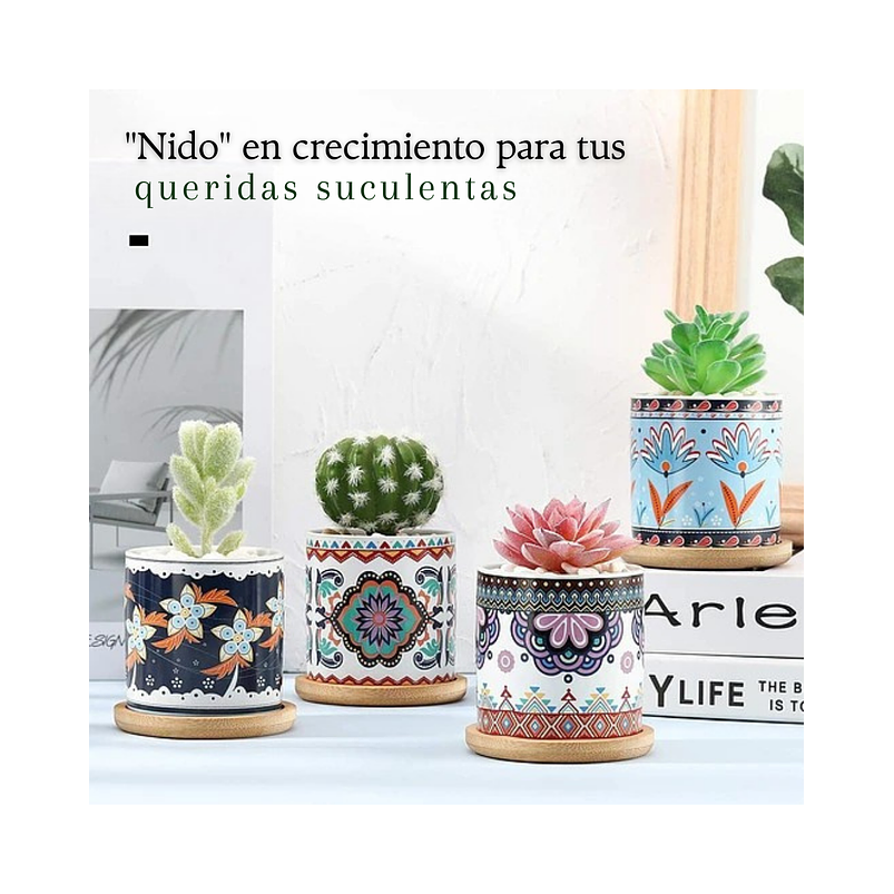 Juego Macetas Cerámica Premium Cactus y Suculentas x4 Unidades 7