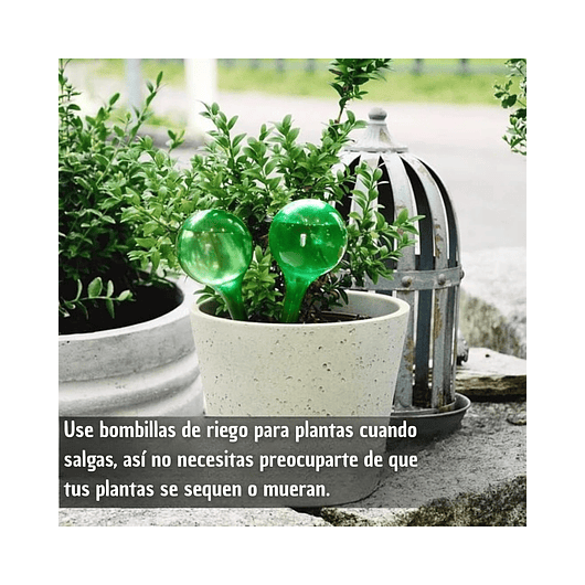 Regadera Plastica Plantas Premium Salida en Acero más Spray x1 litro Mas Botella de Apretar 11