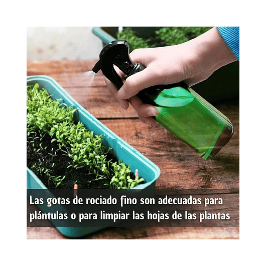 Regadera Plastica Plantas Premium Salida en Acero más Spray x1 litro Mas Botella de Apretar 12