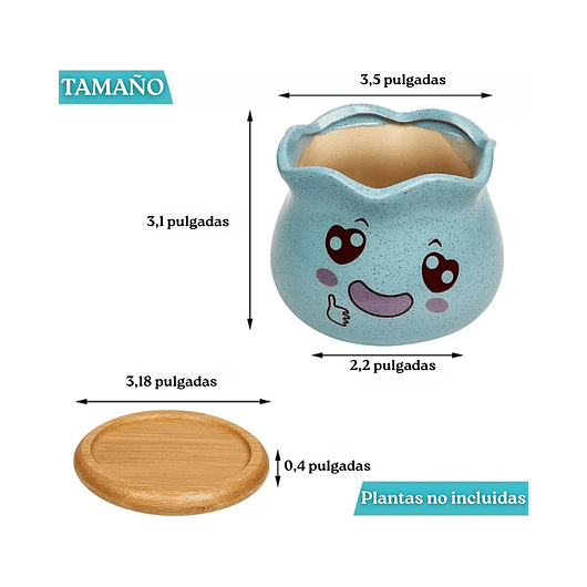 Juego Macetas Cerámica x3 Unidades Plantas, Cactus Y Suculentas 3