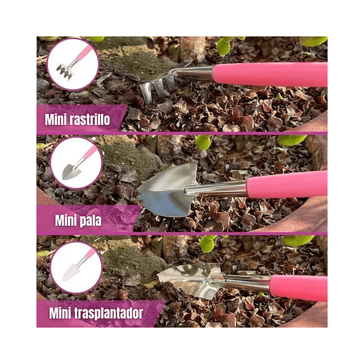 Kit Herramientas Suculentas Cactus x14 Piezas más bolso Premium 2