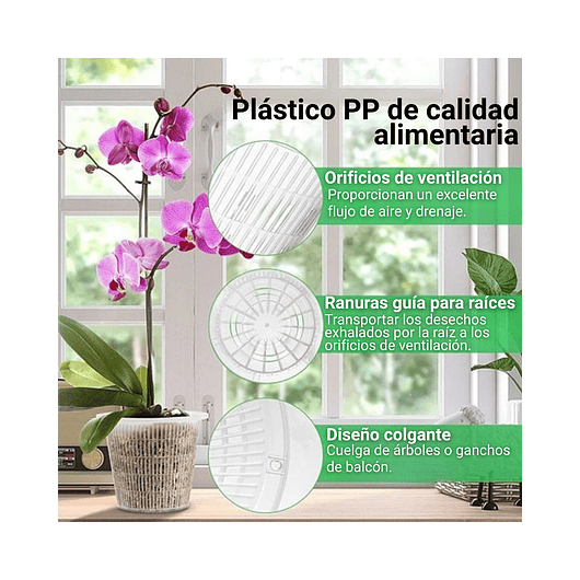 Macetas Siembra Orquídea Plástica x01 Unid Transparente 14cm 4