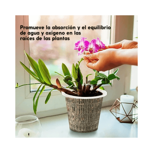 Macetas Siembra Orquídea Plástica x01 Unid Transparente 11cm 2