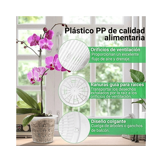 Macetas Siembra Orquídea Plástica x01 Unid Transparente 11cm 4