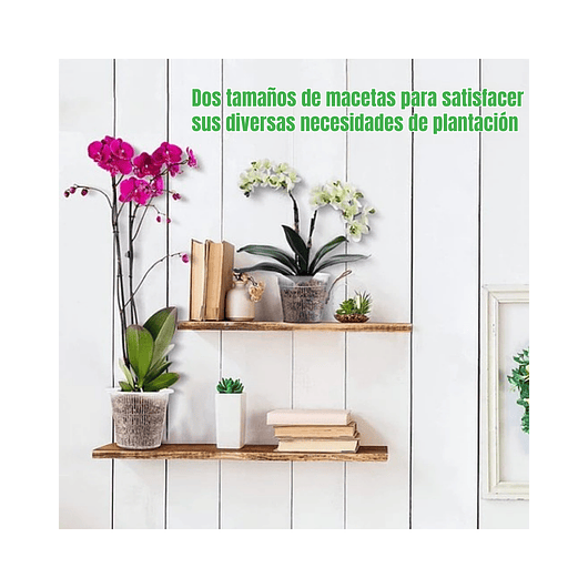 Macetas Siembra Orquídea Plástica x01 Unid Transparente 11cm 6