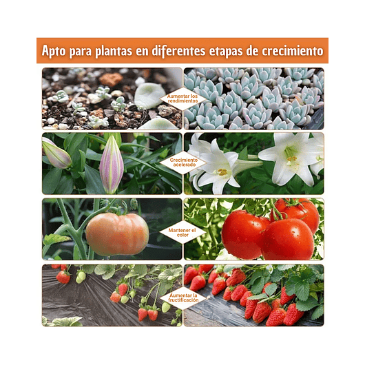 Luz Led Crecimiento Plantas Espectro Completo Clip Oficina  4