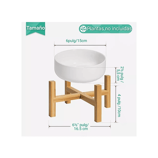 Maceta Cerámica Premium más Soporte Mesa Plantas Suculentas Blanco 3