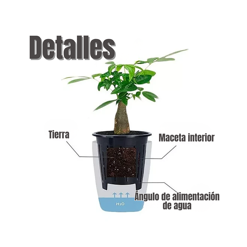 Maceta Plastica Con Sistema Autoriego 10cm Alto 9cm Diametro Blanco 6