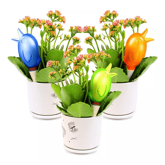 Estacas en Arcilla De Riego Por Absorcion de Plantas x6 Unidades 5