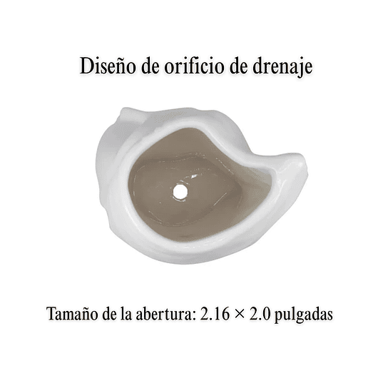 Maceta Ceramica Premium Rostro+plato Suculenta 9cmanx11cm Al Blanco 4