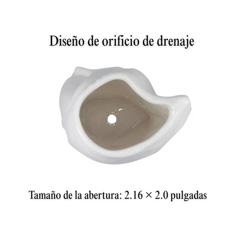 Maceta Ceramica Premium Rostro+plato Suculenta 9cmanx11cm Al Blanco 4