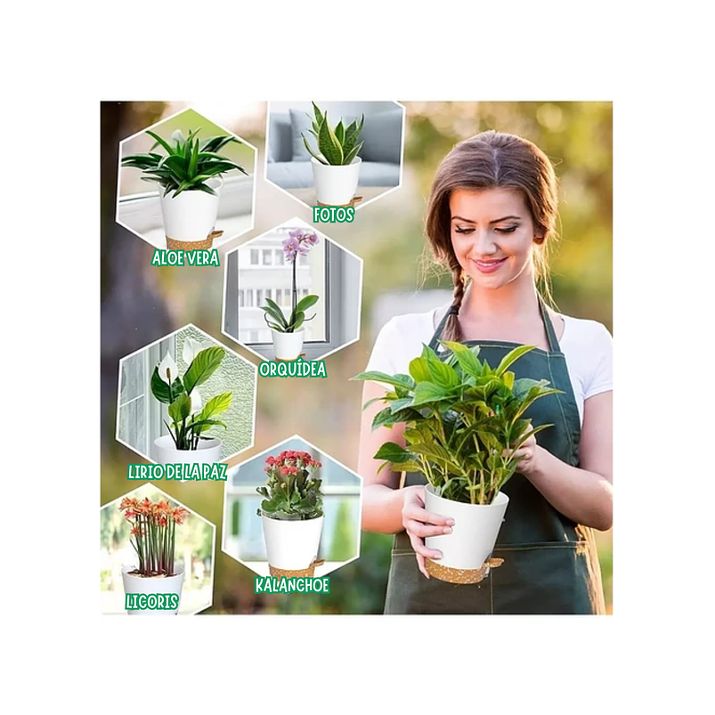 Maceta Plástica Brillante Suculentas +plato 10cm Dm X7cm Alt Blanco 4