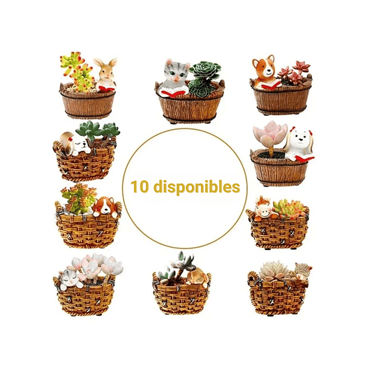 Maceta Cerámica Diseño Cesta Animalitos de Cactus Suculentas 1