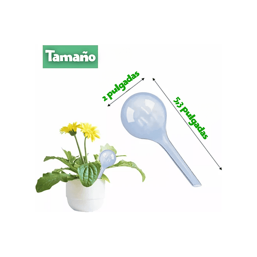 Bomba De Riego Para Plantas En Maceta, X5 Unidades Trasparente 2