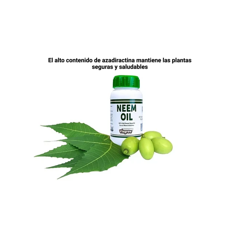 Aceite 100% Semilla Neem Prensado Frío Plantas 8oz (24galon) 2