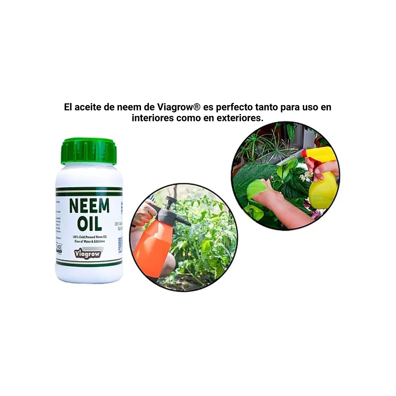 Aceite 100% Semilla Neem Prensado Frío Plantas 8oz (24galon) 4