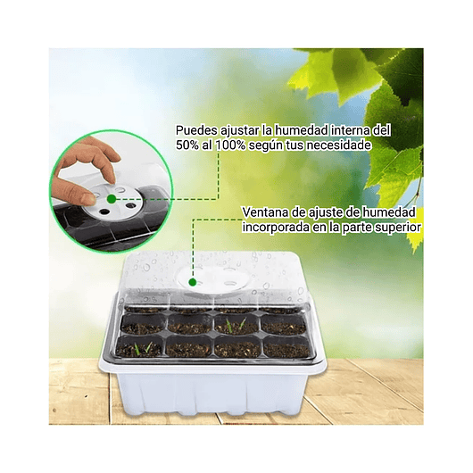 Bandeja De Germinar 12 Celdas,domo,control Temp X5 Unidades 3