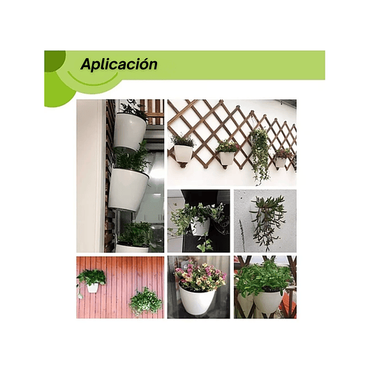 Maceta Plástica Pared Sistema Autoriego Blanca 13cm alto x 11cm 4