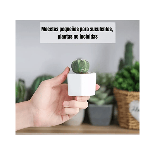 Maceta Hexagonal 1unid Cerámica 7cm Ancho x5cm alto más plato Bamb 3