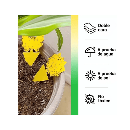 Trampa Para Plantas Adhesiva Plagas Voladores E Insectos x25 unidades 5