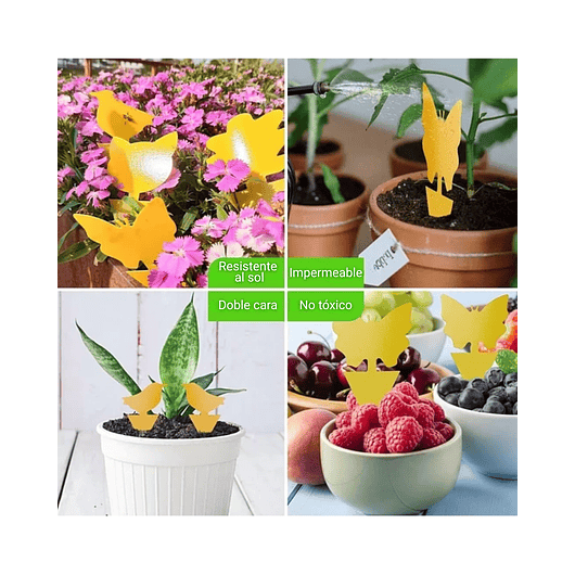 Trampa Para Plantas Adhesiva Plagas Voladores E Insectos x25 unidades 6