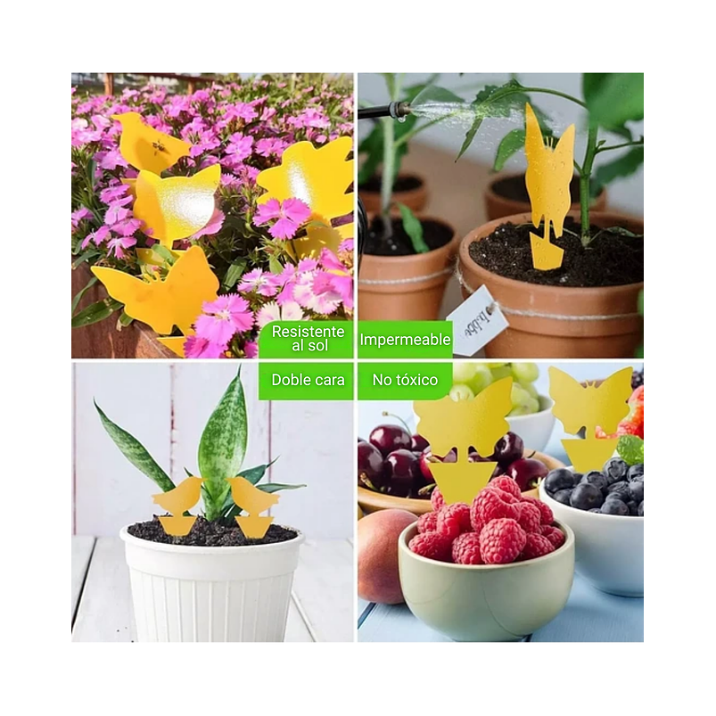 Trampa Para Plantas Adhesiva Plagas Voladores E Insectos x25 unidades 6