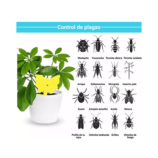 Trampa Para Plantas Adhesiva Plagas Voladores E Insectos x25 unidades 7