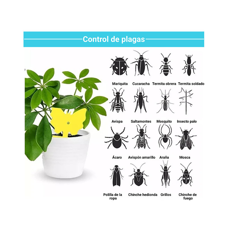 Trampa Para Plantas Adhesiva Plagas Voladores E Insectos x25 unidades 7