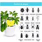 Trampa Para Plantas Adhesiva Plagas Voladores E Insectos x25 unidades - Miniatura 7