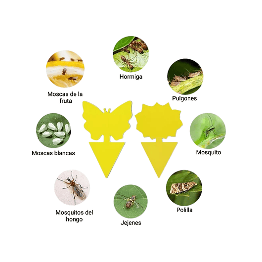 Trampa Para Plantas Adhesiva Plagas Voladores E Insectos x25 unidades 10