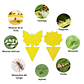 Trampa Para Plantas Adhesiva Plagas Voladores E Insectos x25 unidades - Miniatura 10
