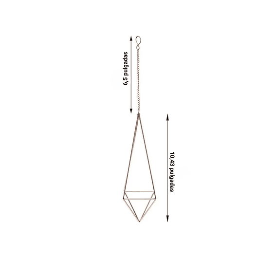 Soporte Colgante Plantas Aéreas 2